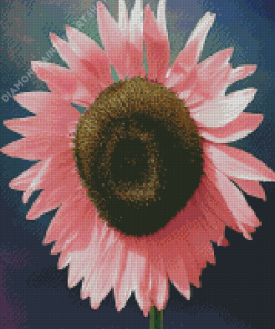 Big Pink Sunflower Diamond Painting Art