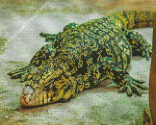 Black And Green Tegu Lizard Diamond Painting Art