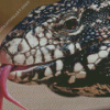 Black And White Tegu Lizard Head Diamond Painting Art