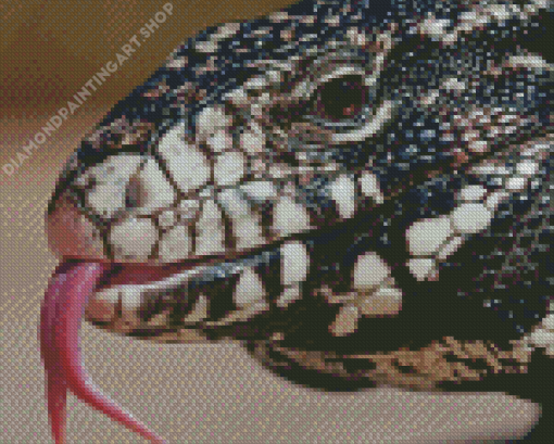 Black And White Tegu Lizard Head Diamond Painting Art