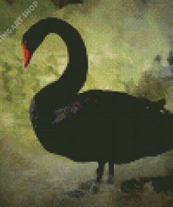 Black Swan Bird Diamond Painting Art