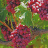 Grape Vines Diamond Painting Art