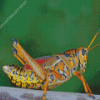 Grasshopper Diamond Painting Art