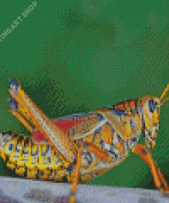 Grasshopper Diamond Painting Art