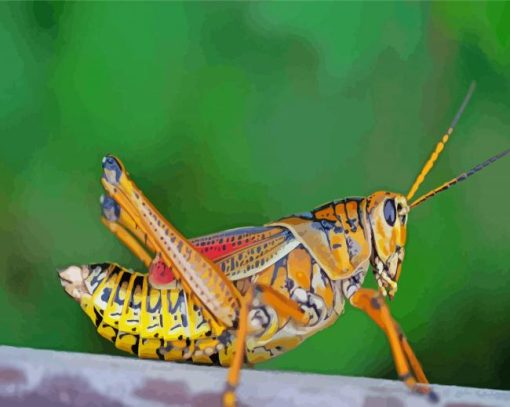 Grasshopper Diamond Painting Art