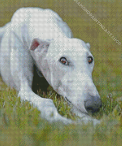 Greyhound Dog Diamond Painting Art