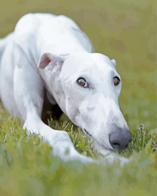 Greyhound Dog Diamond Painting Art