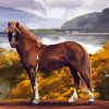 Mare Horse Animal Art Diamond Painting Art