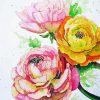 Peonies And Ranunculus Flowers Art Diamond Painting Art