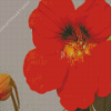 Red Nasturtium Flower Diamond Painting Art