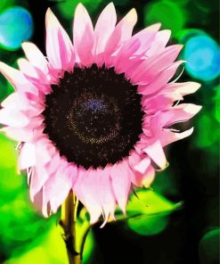 The Pink Sunflower Diamond Painting Art