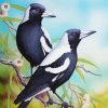 Two Australian Magpie Birds Diamond Painting Art