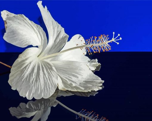 White Hibiscus Reflection Diamond Painting Art