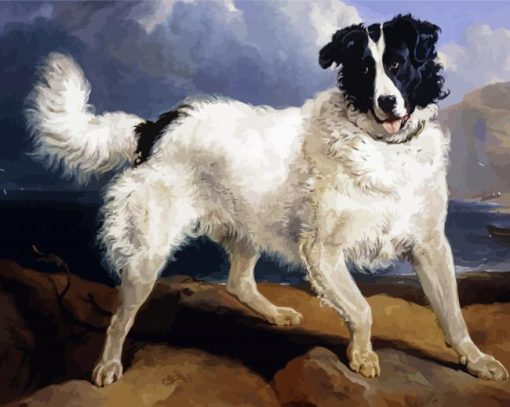 A Portrait Of Neptune Sir Edwin Landseer Diamond Painting Art