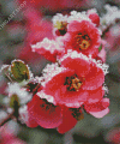 Blossom Spring Flower In Snow Diamond Painting Art