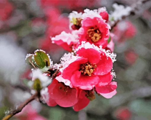 Blossom Spring Flower In Snow Diamond Painting Art