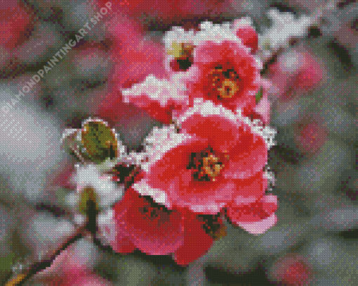 Blossom Spring Flower In Snow Diamond Painting Art