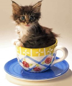 Cute Kitten In Cup Diamond Painting Art