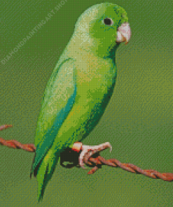 Green Parrotlet Diamond Painting Art