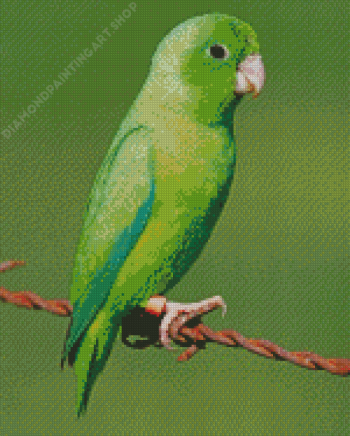 Green Parrotlet Diamond Painting Art
