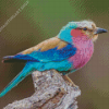 Lilac Breasted Roller Bird Diamond Painting Art