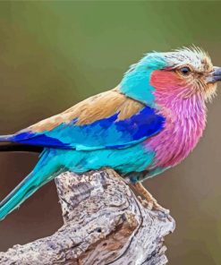 Lilac Breasted Roller Bird Diamond Painting Art