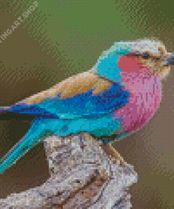 Lilac Breasted Roller Bird Diamond Painting Art