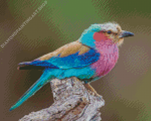 Lilac Breasted Roller Bird Diamond Painting Art