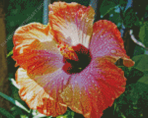 Orange Hibiscus With Water Drops Diamond Painting Art