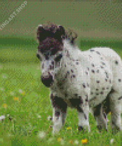 White Horse Foal Diamond Painting Art