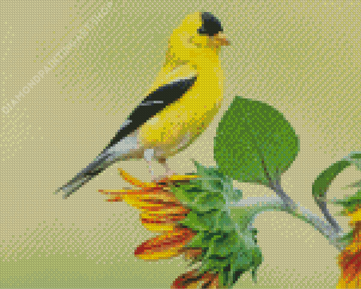 Yellow Finch On Sunflower Diamond Painting Art