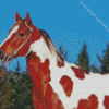 Brown And White Horse Diamond Painting Art