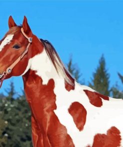 Brown And White Horse Diamond Painting Art