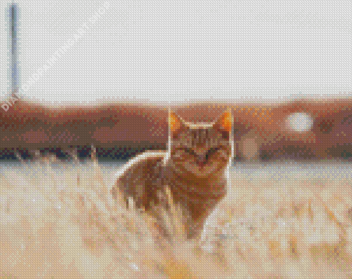Cat In Field Diamond Painting Art