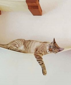 Cat On Wall Diamond Painting Art