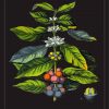 Coffee Plant Poster Diamond Painting Art