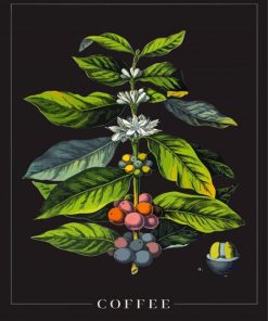Coffee Plant Poster Diamond Painting Art