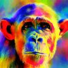 Colorful Monkey Diamond Painting Art