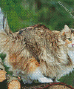 Large Fluffy Cat Diamond Painting Art