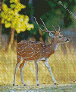 Little Axis Deer Diamond Painting Art