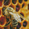 Close Up Bee In Hive Diamond Painting Art