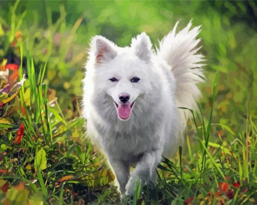 Cool Spitz Dog Diamond Painting Art