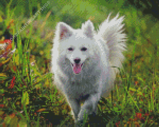 Cool Spitz Dog Diamond Painting Art