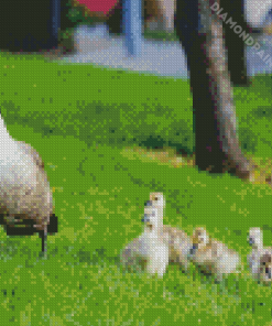 Cute Geese In The Garden Diamond Painting Art