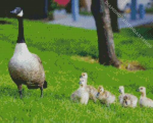 Cute Geese In The Garden Diamond Painting Art