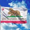 Flying California Flag Diamond Painting Art