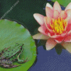 Frog Lily Flower Diamond Painting Art
