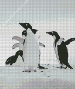 Happy Black And White Penguins Diamond Painting Art