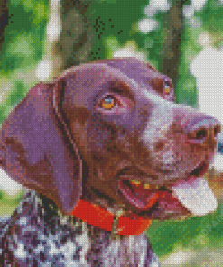 Scaled Dog Diamond Painting Art