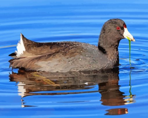 American Coot Bird Diamond Painting Art